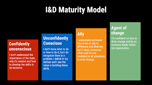 infographic showing diversity and inclusion maturity model
