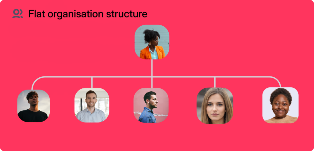 Flatter organisational structure or flat organisation example
